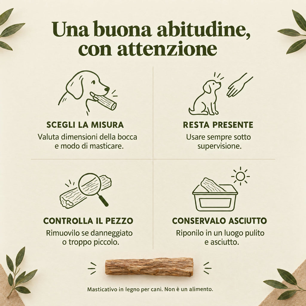 Indicazioni per scegliere e utilizzare il masticativo sotto supervisione